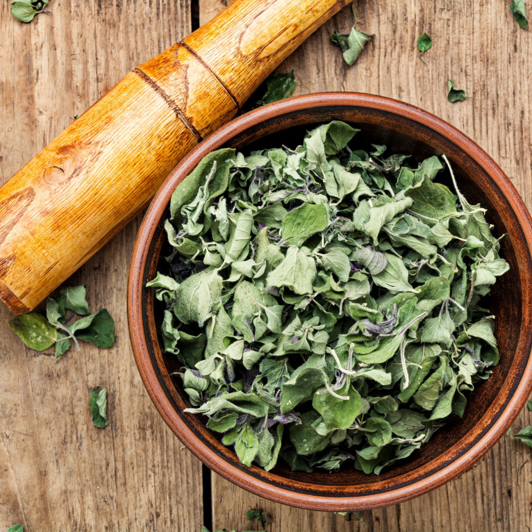 Moringa