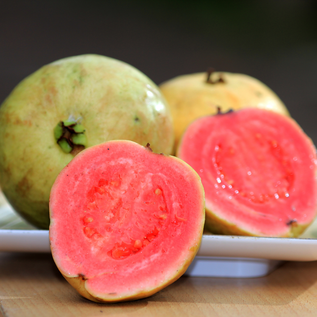 Guayaba